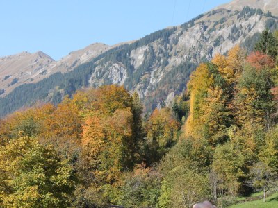 Holiday apartment Sunnechischtli Brienz - Environment photo 16