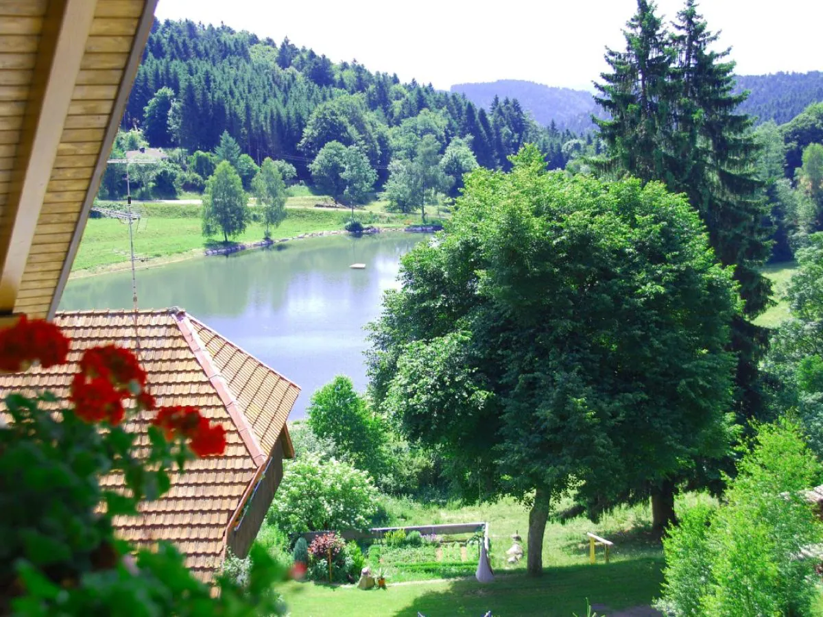 Holiday apartment Weiherhalde