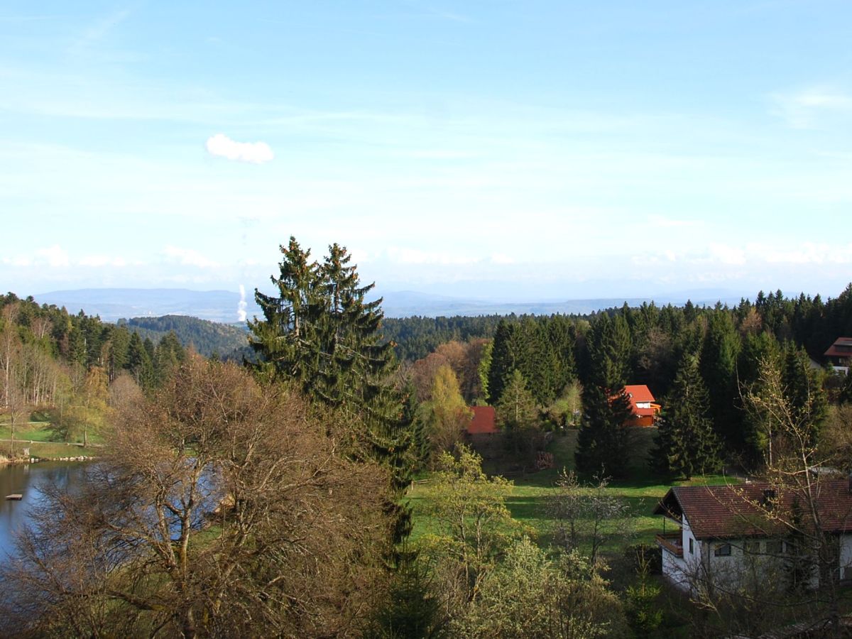 Holiday apartment Weiherhalde - Outdoor photo 3