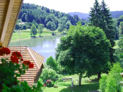 Holiday apartment Weiherhalde in Dachsberg- Hierholz - Holiday apartment