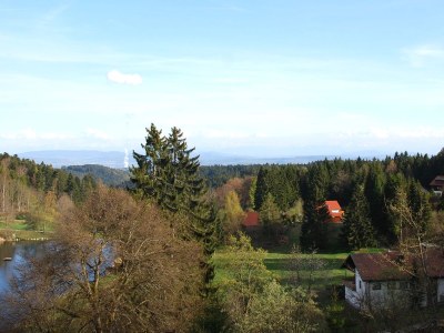 Holiday apartment Weiherhalde - Outdoor photo 3