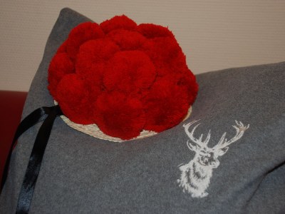 Holiday apartment Weiherhalde - Features photo 15