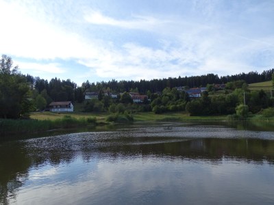 Holiday apartment Weiherhalde - Environment photo 16