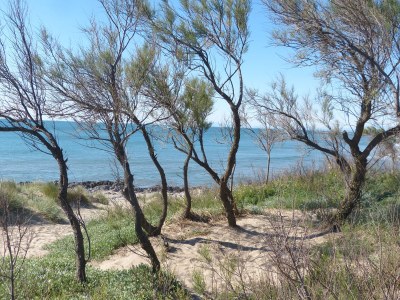 Holiday house Mas Bellevue - Environment photo 31