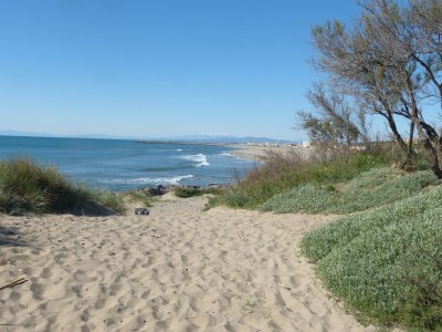 Holiday house Mas Bellevue - Environment photo 32