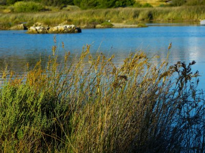 Holiday house Mas Bellevue - Environment photo 34