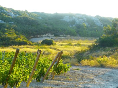 Holiday house Mas Bellevue - Environment photo 37