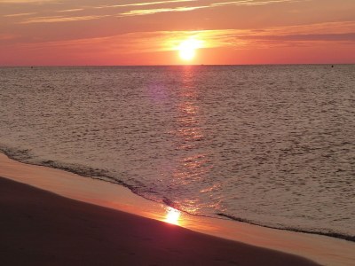 Holiday house Mas Bellevue - Environment photo 40