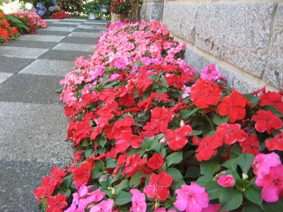 Holiday apartment Knobloch with swimming pool - Environment photo 21