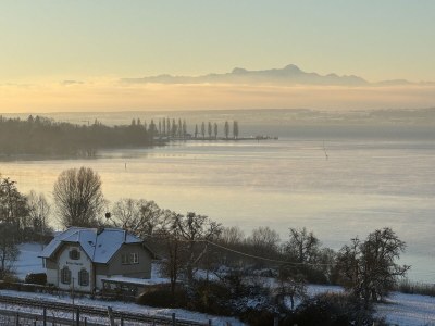 Holiday apartment Seemöwe - Environment photo 18