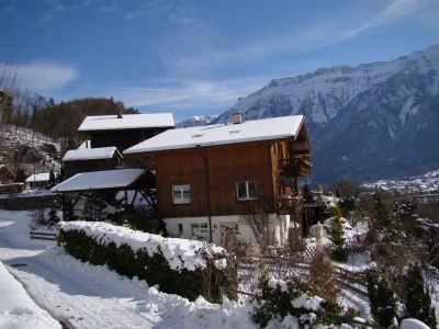 Apartment Chalet in the Swiss alps in Goldswil bei Interlaken - Apartment