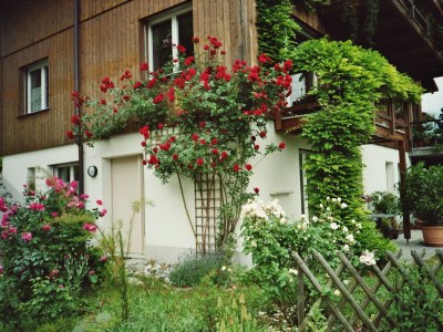 Apartment Chalet in the Swiss alps - Outdoor photo 3