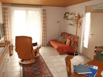 Apartment Chalet in the Swiss alps - Features photo 7