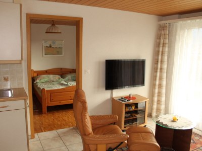 Apartment Chalet in the Swiss alps - Features photo 11