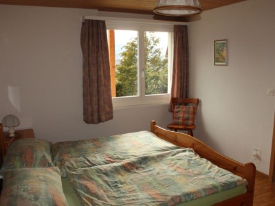 Apartment Chalet in the Swiss alps - Features photo 13