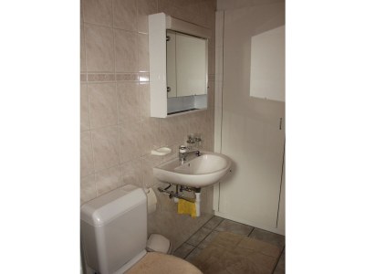 Apartment Chalet in the Swiss alps - Features photo 15