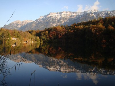 Apartment Chalet in the Swiss alps - Environment photo 20