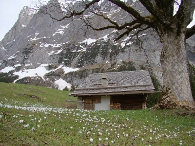 Apartment Chalet in the Swiss alps - Environment photo 27