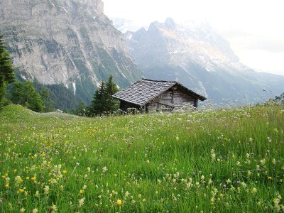 Apartment Chalet in the Swiss alps - Environment photo 29