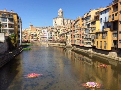 Holiday house Casa Albacete - Environment photo 28