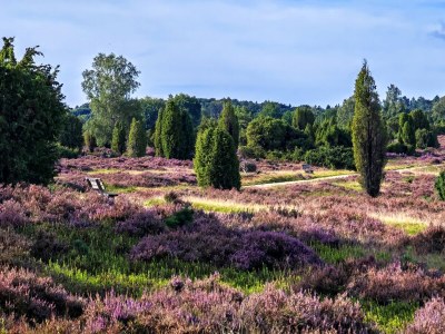 Holiday apartment Hanni - Environment photo 15