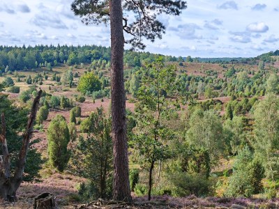 Holiday apartment Hanni - Environment photo 16