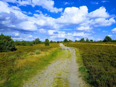 Holiday apartment Hanni - Environment photo 18