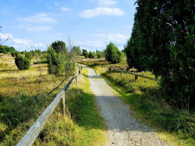 Holiday apartment Hanni - Environment photo 19