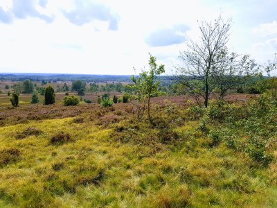 Holiday apartment Hanni - Environment photo 21