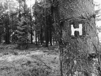 Holiday apartment Hanni - Environment photo 23