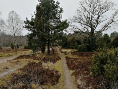 Holiday apartment Hanni - Environment photo 25