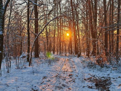 Holiday apartment Hanni - Environment photo 29