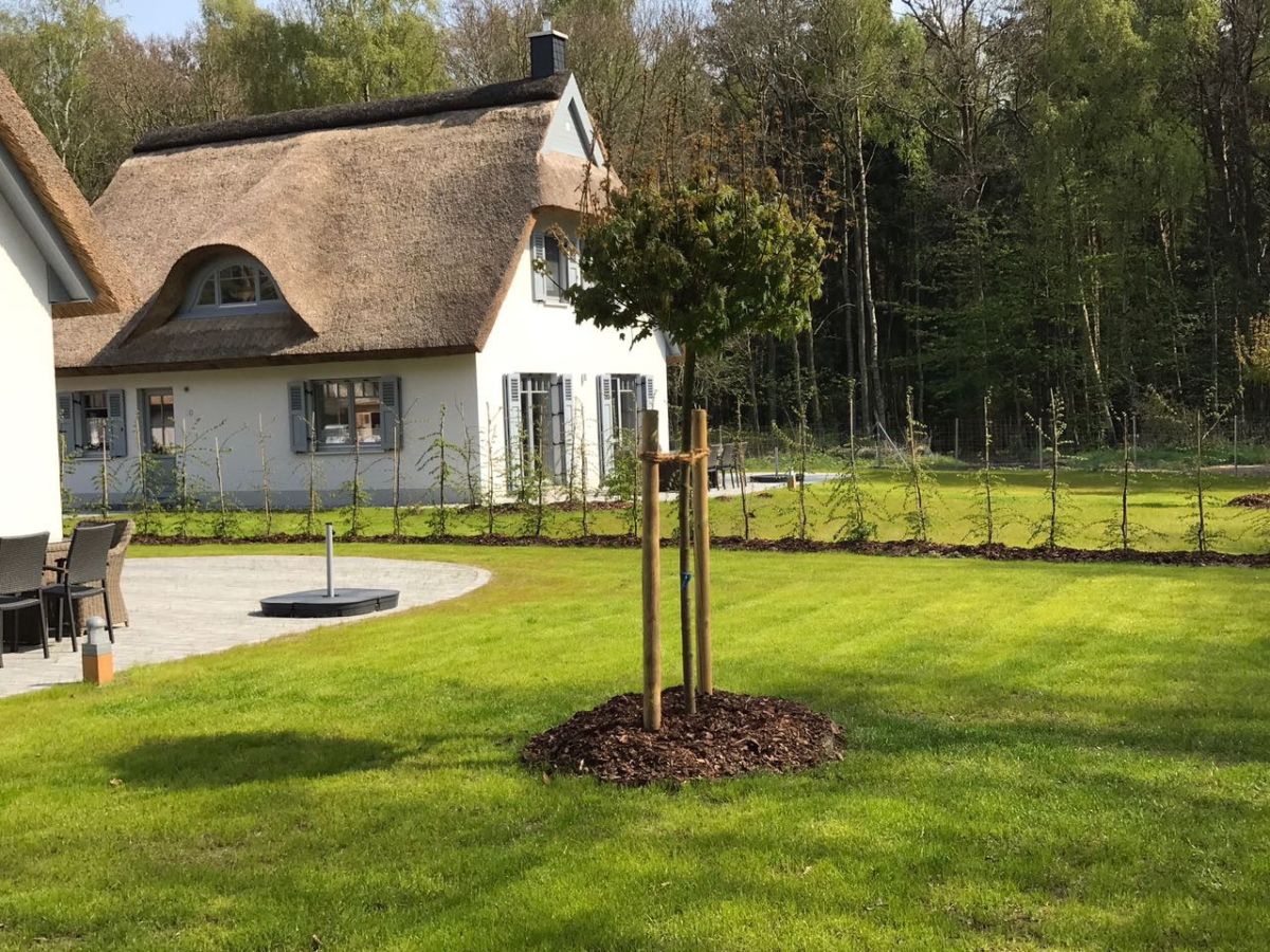 Holiday house - No title - - Outdoor photo 3