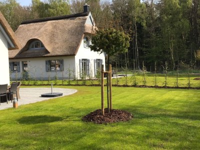 Holiday house - No title - - Outdoor photo 3