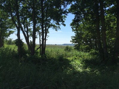 Holiday house - No title - - Document photo 29