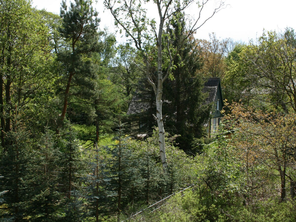 Holiday apartment Ostseebrise - Outdoor photo 5