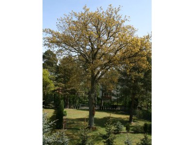 Holiday apartment Ostseebrise - Outdoor photo 4