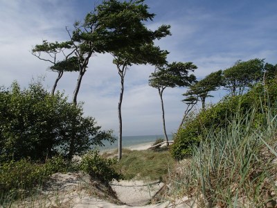 Holiday apartment Ostseebrise - Environment photo 14