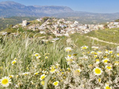 Villa Verikoko - Environment photo 30