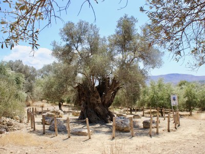 Villa Verikoko - Environment photo 36