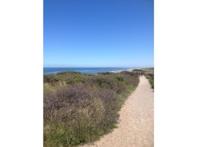 Holiday house Bungalow Seedunes - Environment photo 34