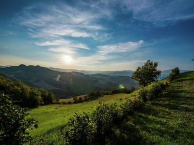 Cottage Wohnung in Sant'Angelo nahe Altstadt - Outdoor photo 12