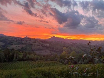 Cottage Wohnung in Sant'Angelo nahe Altstadt - Environment photo 29