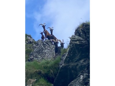 Holiday apartment Magauhof in Mittersill - Environment photo 17