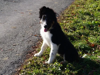 Holiday apartment Magauhof in Mittersill - Environment photo 22