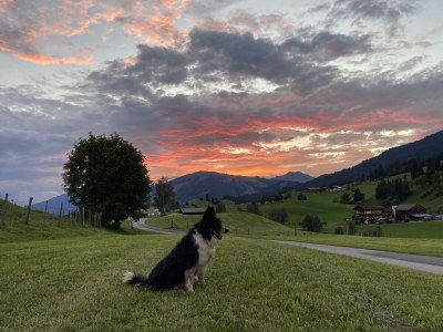 Holiday apartment Magauhof in Mittersill - Environment photo 25