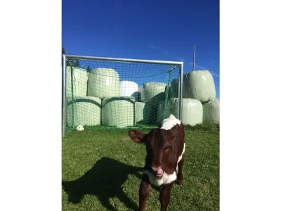 Holiday apartment Magauhof in Mittersill - Document photo 29