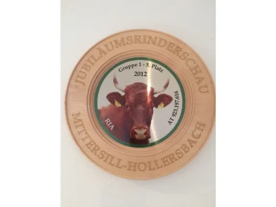 Holiday apartment Magauhof in Mittersill - Document photo 30