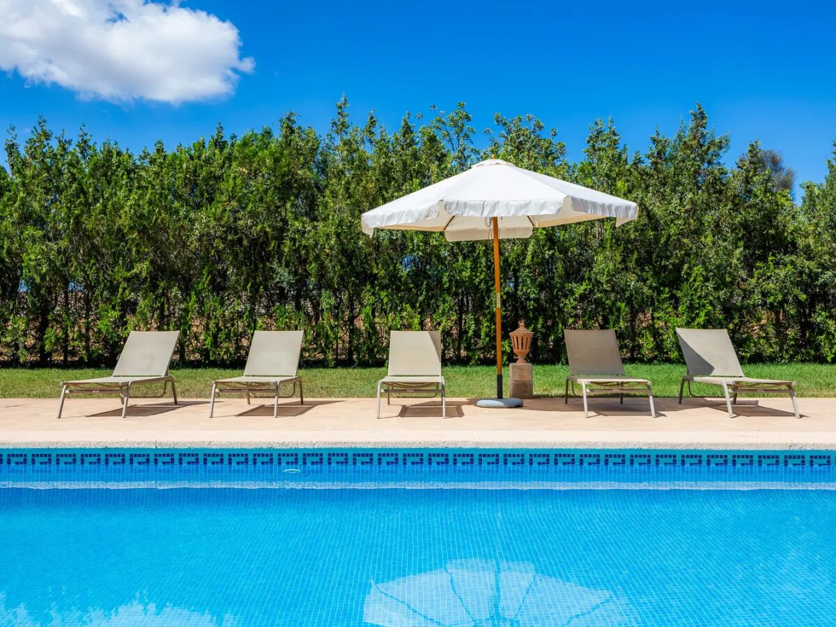 Finca Ref. 225 - Outdoor photo 4