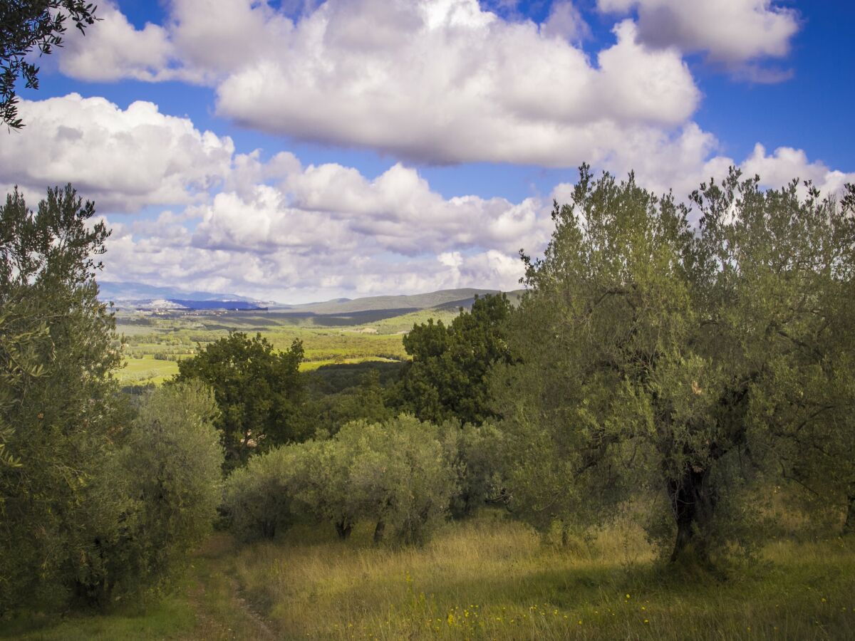 Holiday house Pet-Friendly Getaway, Castagneto Carducci - Outdoor photo 2